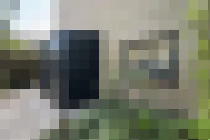 Groene Slinger 25 Standdaarbuiten thumbnail 69