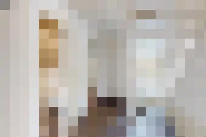 Groene Slinger 25 Standdaarbuiten thumbnail 8
