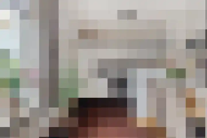 Groene Specht 11 Oostkapelle thumbnail 13
