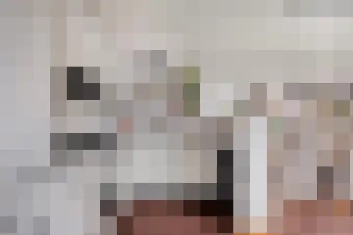 Groene Specht 11 Oostkapelle thumbnail 14