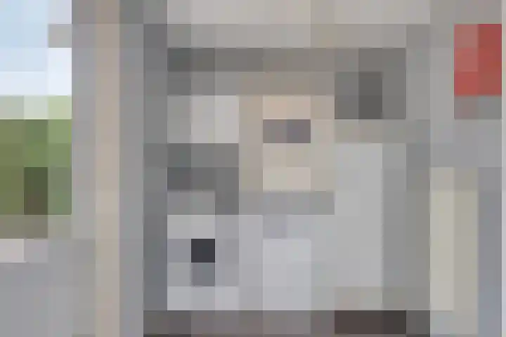 Groene Specht 11 Oostkapelle thumbnail 15