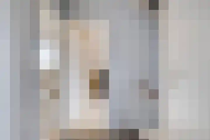 Groene Specht 11 Oostkapelle thumbnail 17