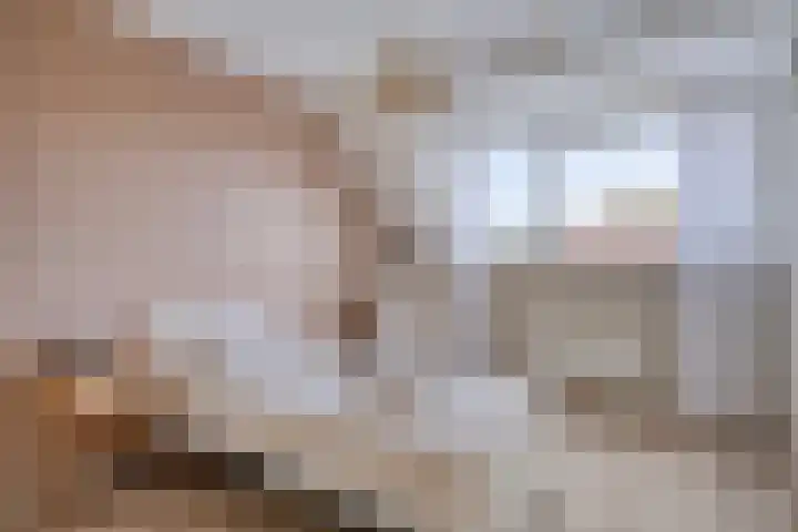 Groene Specht 11 Oostkapelle thumbnail 18