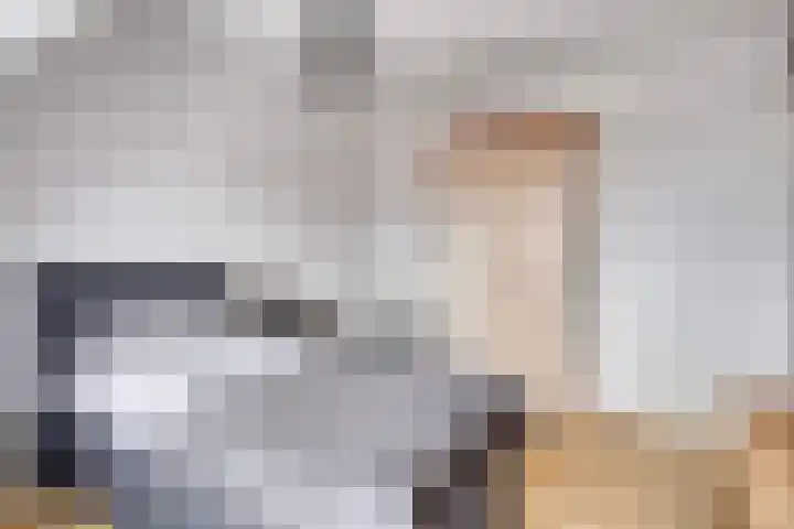 Groene Specht 11 Oostkapelle thumbnail 21