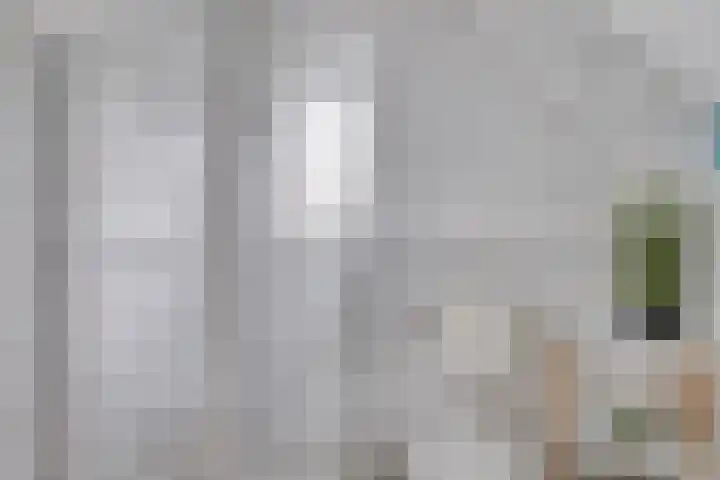 Groene Specht 11 Oostkapelle thumbnail 24