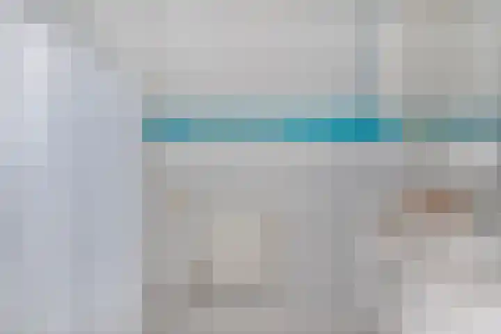 Groene Specht 11 Oostkapelle thumbnail 25