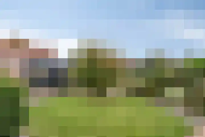Groene Specht 11 Oostkapelle thumbnail 31