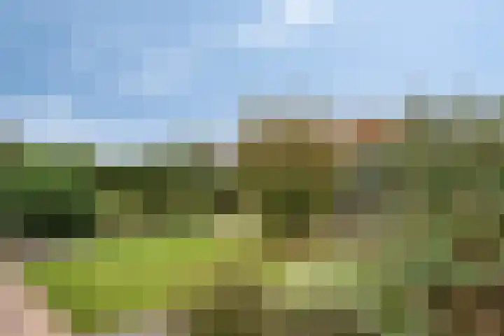Groene Specht 11 Oostkapelle thumbnail 32