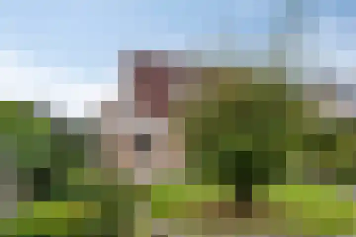 Groene Specht 11 Oostkapelle thumbnail 33