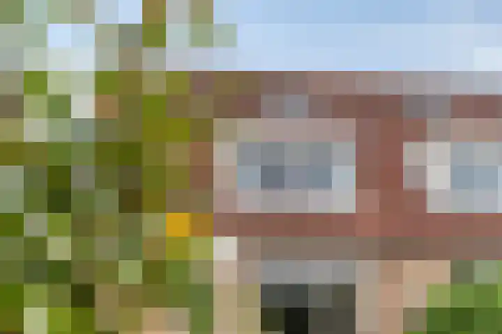 Groene Specht 11 Oostkapelle thumbnail 34