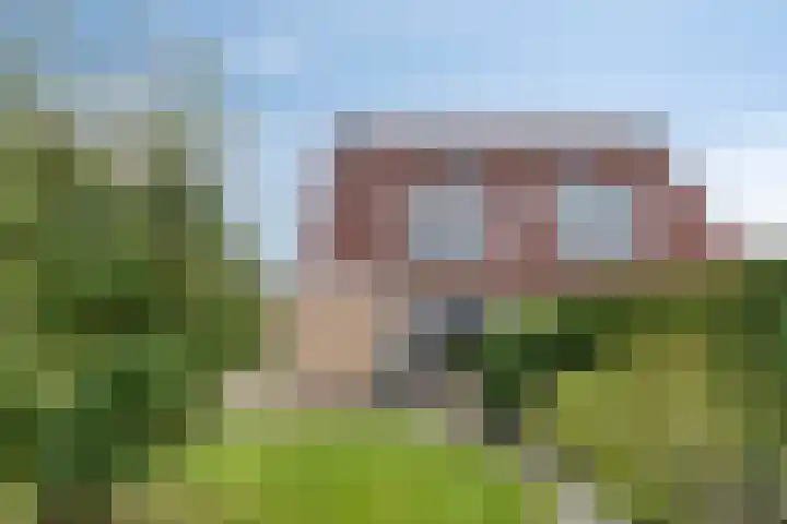 Groene Specht 11 Oostkapelle thumbnail 35