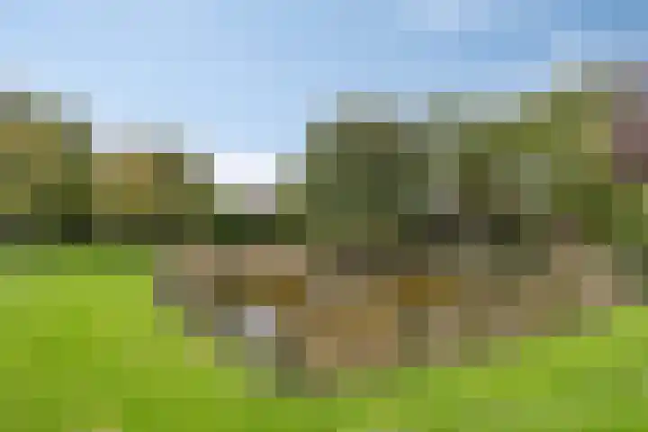 Groene Specht 11 Oostkapelle thumbnail 37