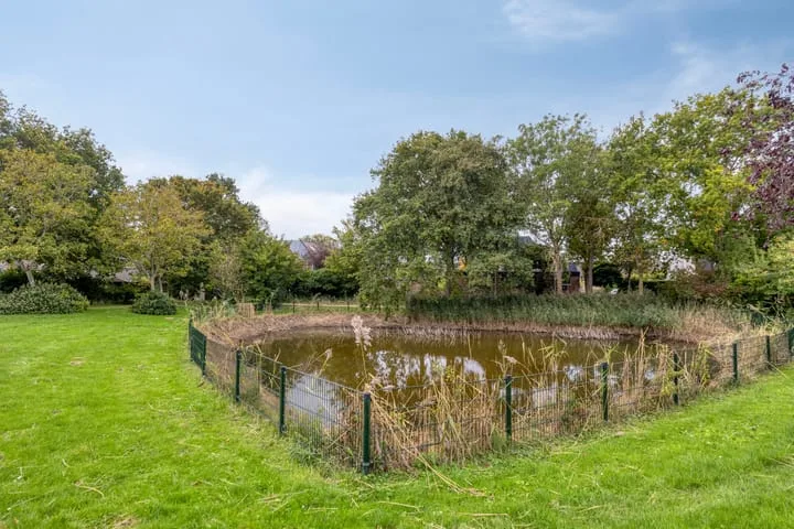 Groene Specht 11 Oostkapelle thumbnail 37