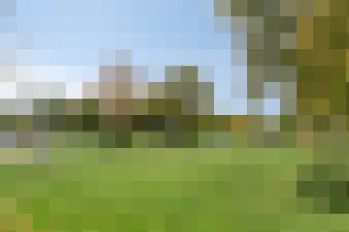 Groene Specht 11 Oostkapelle thumbnail 38