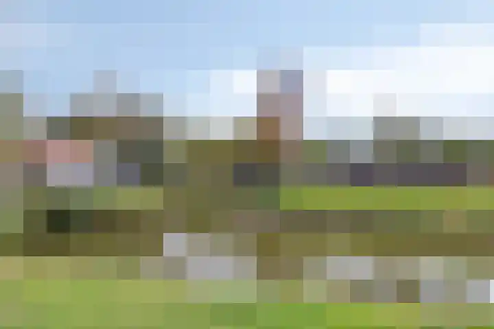 Groene Specht 11 Oostkapelle thumbnail 39