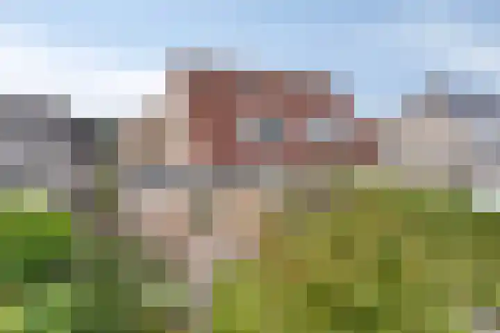 Groene Specht 11 Oostkapelle thumbnail 4
