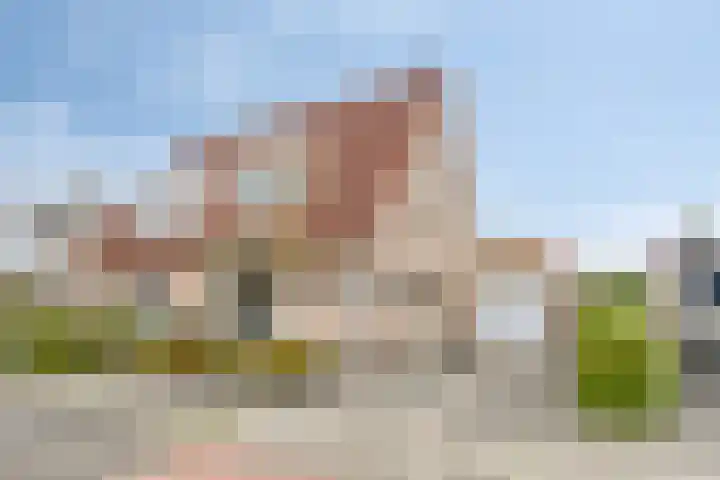 Groene Specht 11 Oostkapelle thumbnail 5
