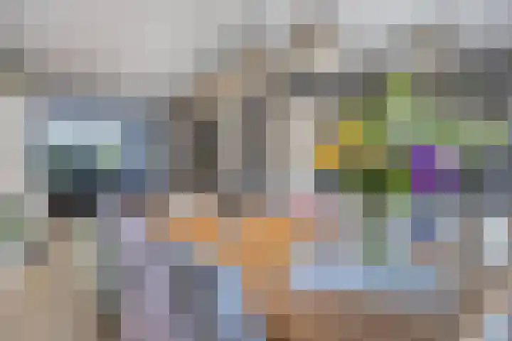 Groene Specht 12 Eijsden thumbnail 10