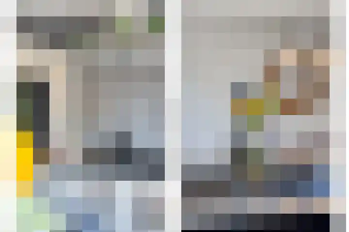 Groene Specht 12 Eijsden thumbnail 14