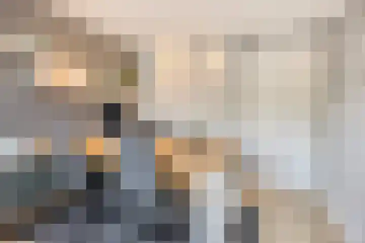 Groene Specht 12 Eijsden thumbnail 17