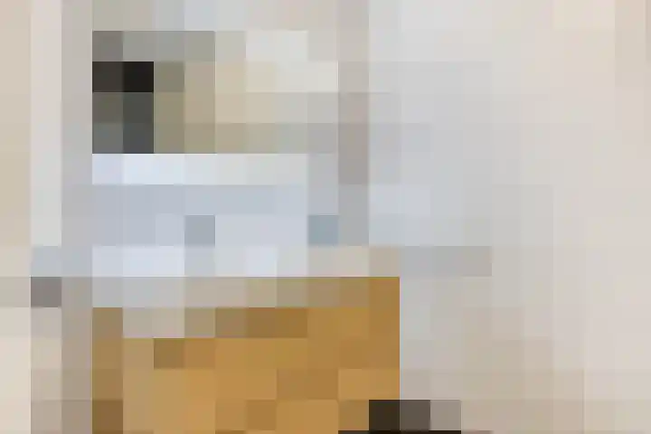 Groene Specht 12 Eijsden thumbnail 21