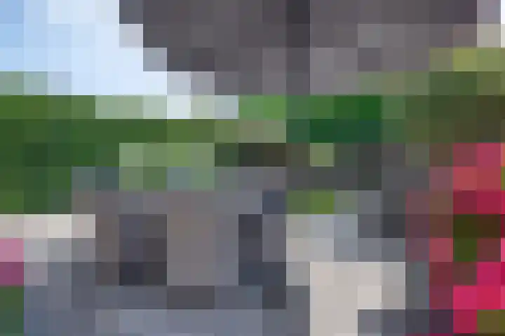 Groene Specht 12 Eijsden thumbnail 28