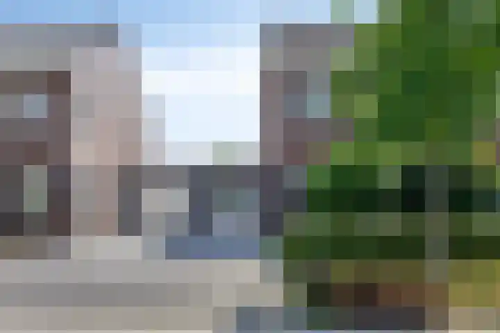 Groene Specht 12 Eijsden thumbnail 33