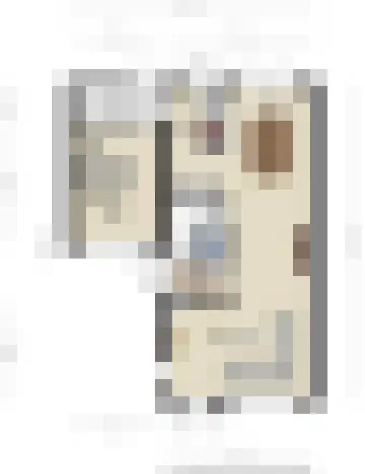 Groene Specht 12 Eijsden thumbnail 35