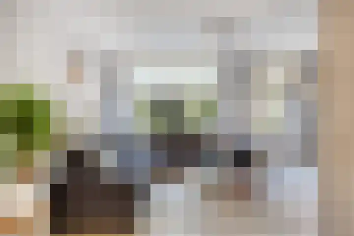 Groene Specht 12 Eijsden thumbnail 4