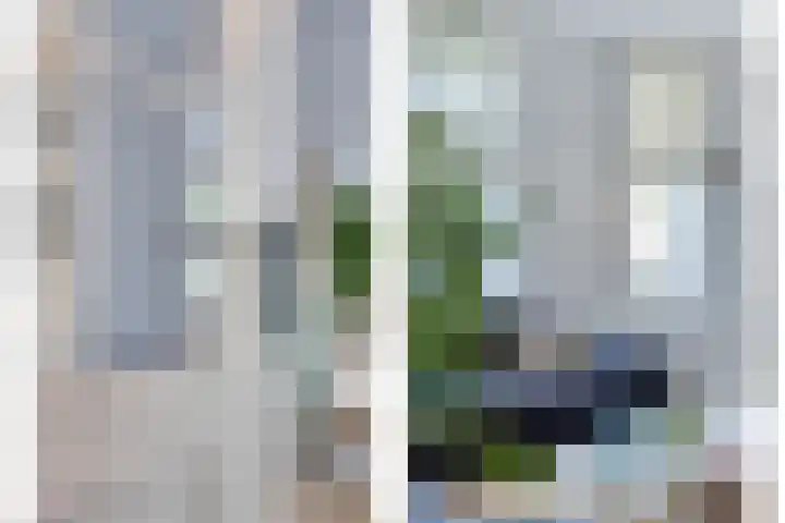 Groene Specht 12 Eijsden thumbnail 7