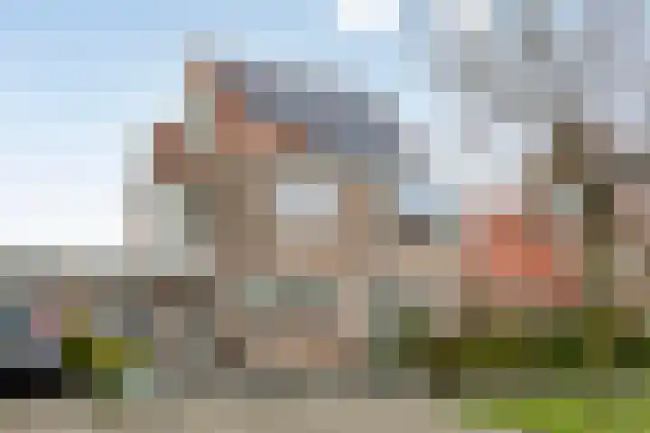 Groene Specht 14 Zeewolde