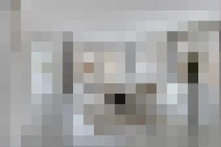 Groene Specht 14 Zeewolde thumbnail 10