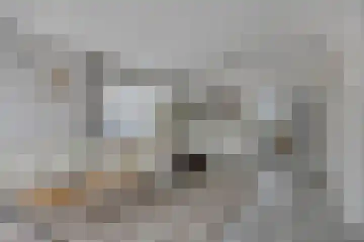 Groene Specht 14 Zeewolde thumbnail 13