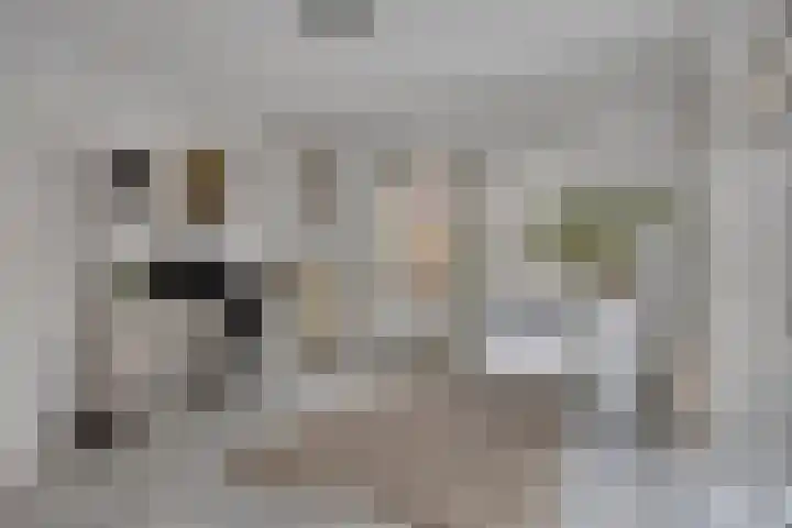 Groene Specht 14 Zeewolde thumbnail 14