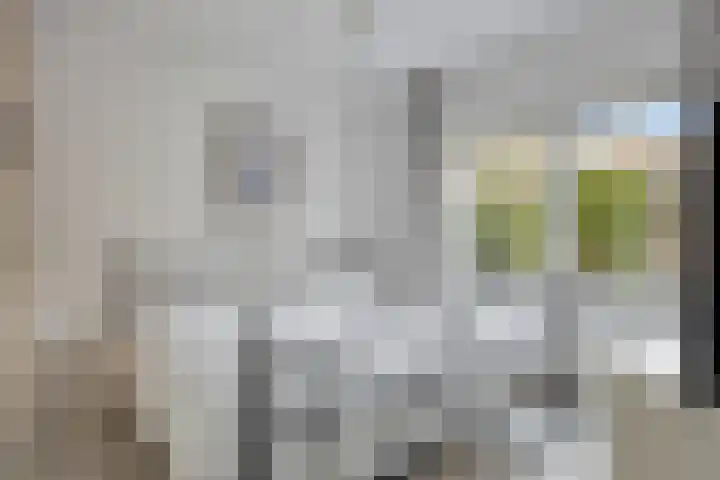 Groene Specht 14 Zeewolde thumbnail 16