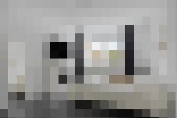 Groene Specht 14 Zeewolde thumbnail 21