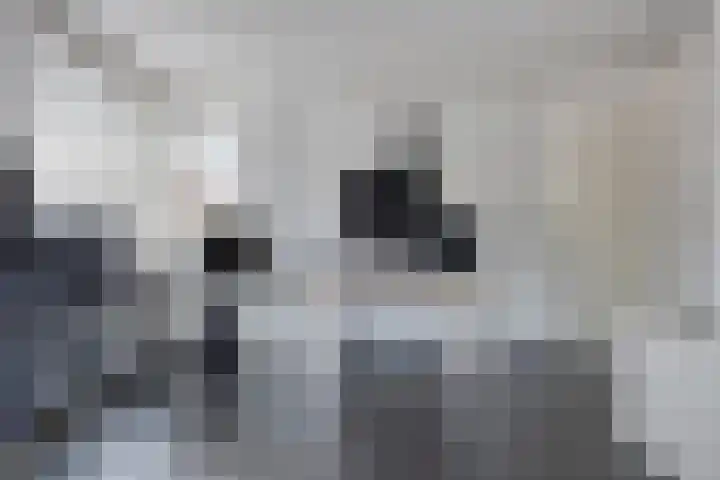 Groene Specht 14 Zeewolde thumbnail 24