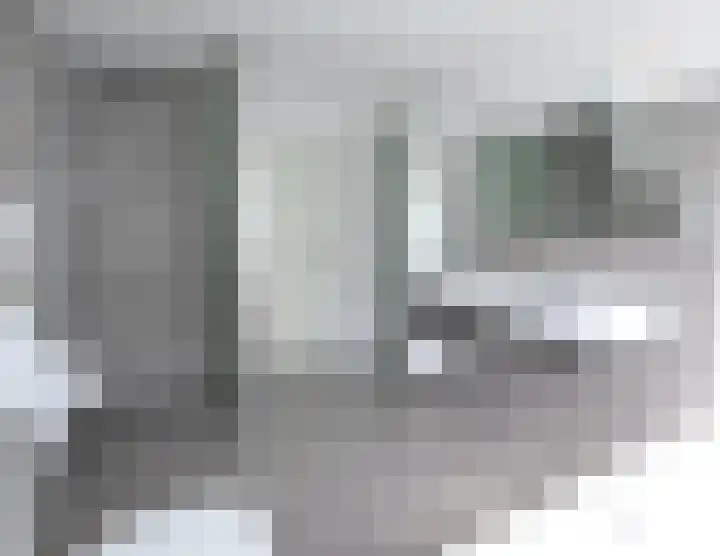 Groene Specht 14 Zeewolde thumbnail 27