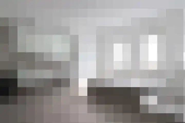 Groene Specht 14 Zeewolde thumbnail 28