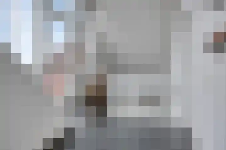 Groene Specht 14 Zeewolde thumbnail 30