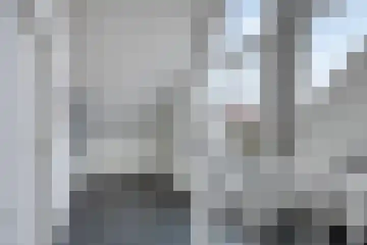 Groene Specht 14 Zeewolde thumbnail 31