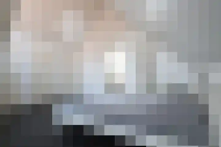 Groene Specht 14 Zeewolde thumbnail 32