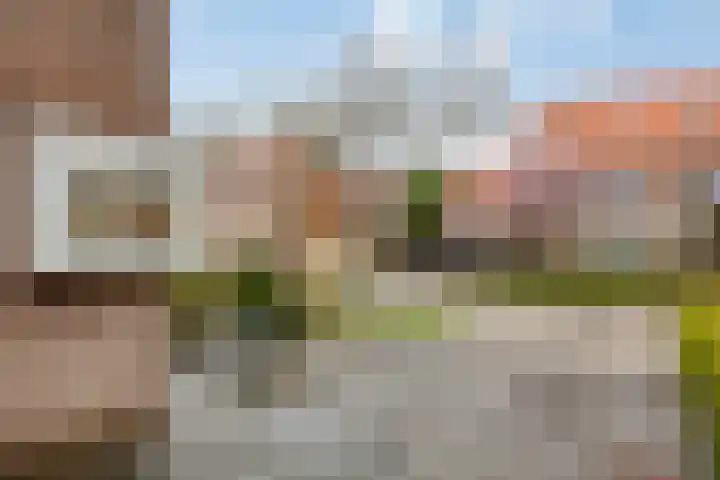 Groene Specht 14 Zeewolde thumbnail 37