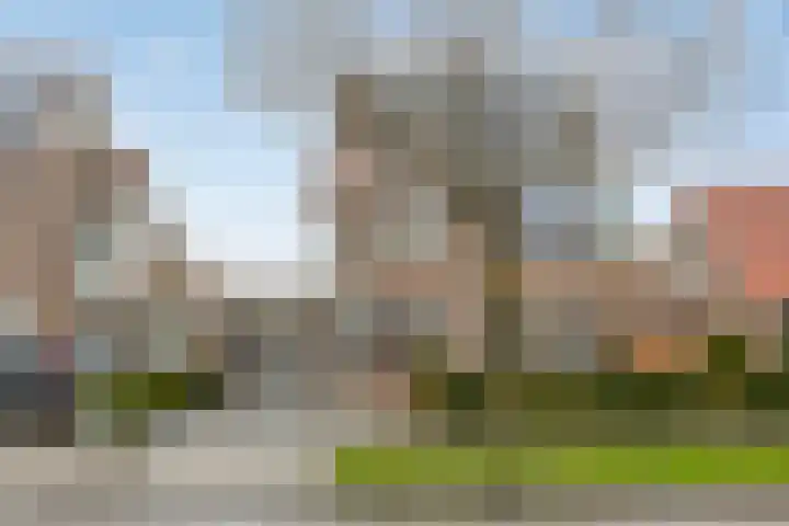 Groene Specht 14 Zeewolde thumbnail 38