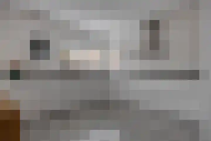 Groene Specht 14 Zeewolde thumbnail 4