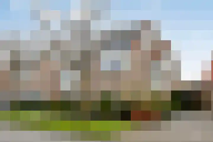 Groene Specht 14 Zeewolde thumbnail 40