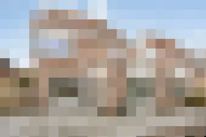 Groene Specht 14 Zeewolde thumbnail 41