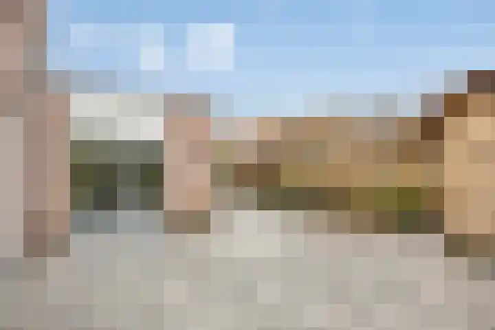 Groene Specht 14 Zeewolde thumbnail 42
