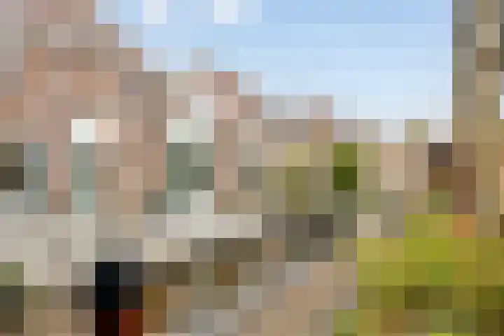 Groene Specht 14 Zeewolde thumbnail 43