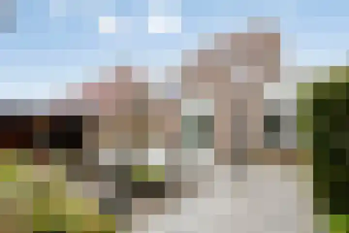 Groene Specht 14 Zeewolde thumbnail 44